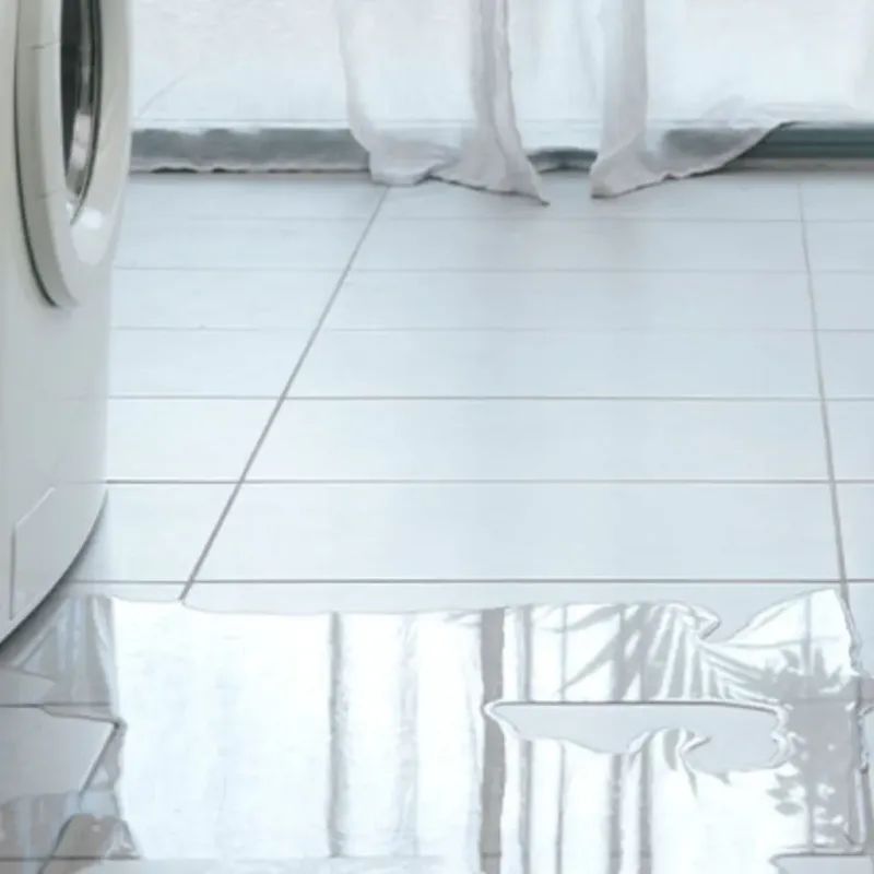 Appliance Leak Cleanup in Morristown, TN