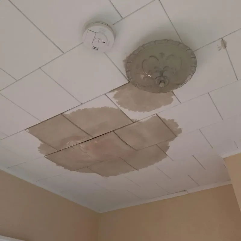 Ceiling Water Damage Repair in Morristown, TN