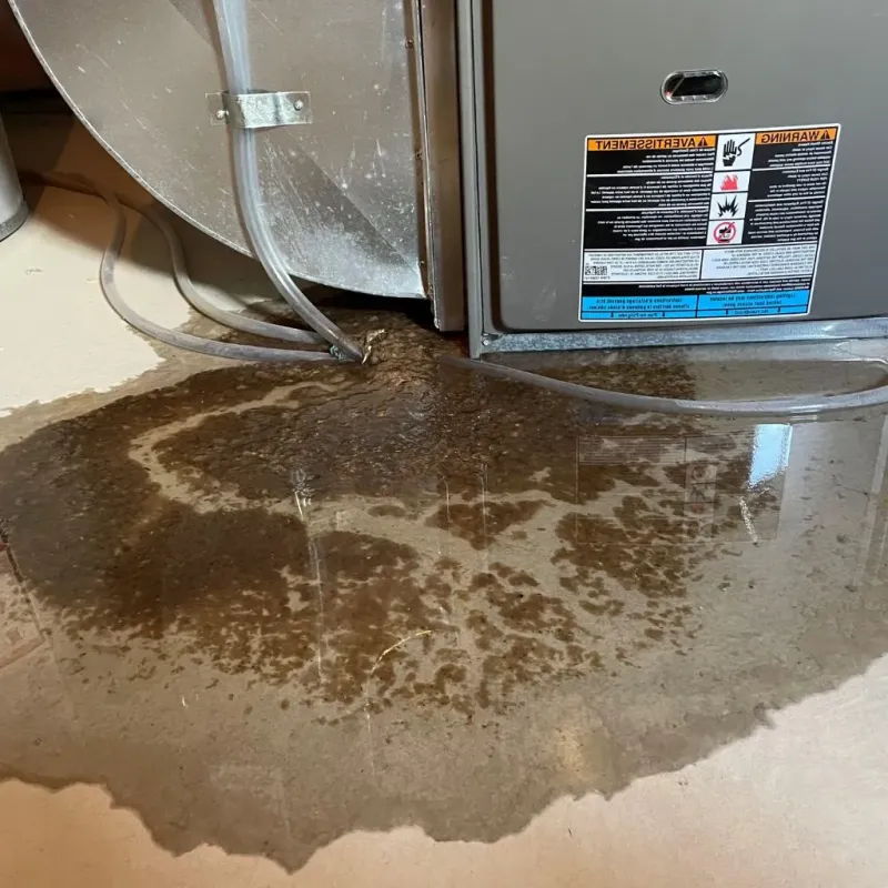 Pipe Burst and Leak Restoration in Morristown, TN